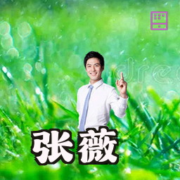 张薇
